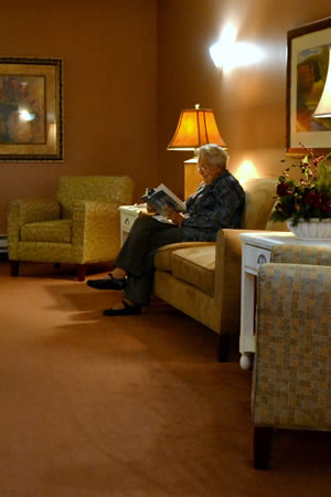 photo full window panels